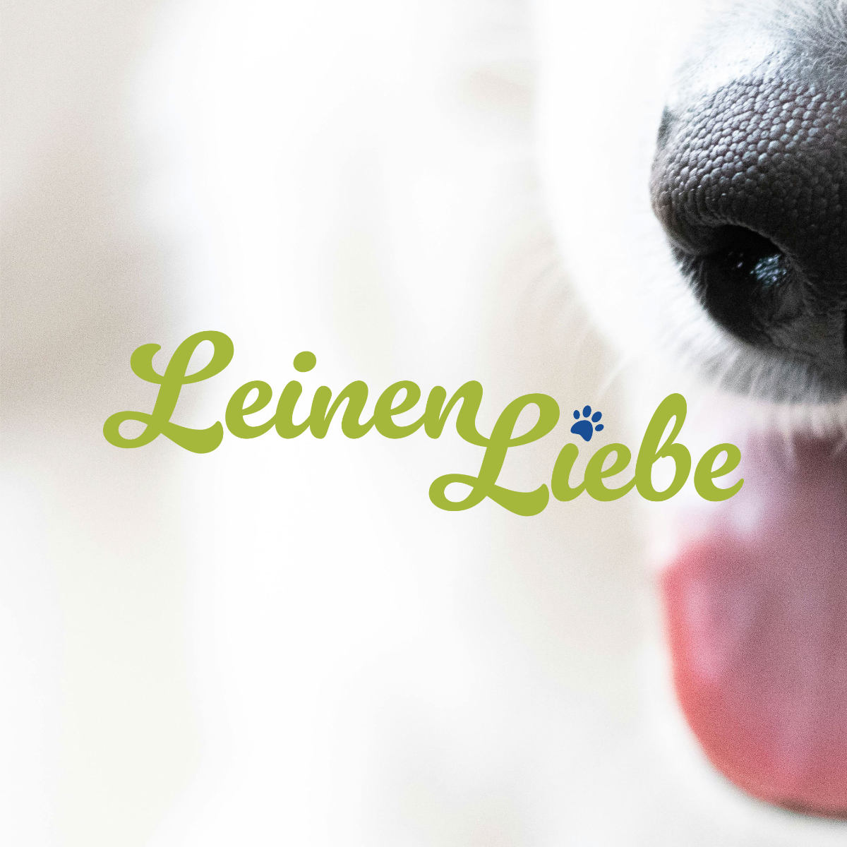 Leinen Liebe